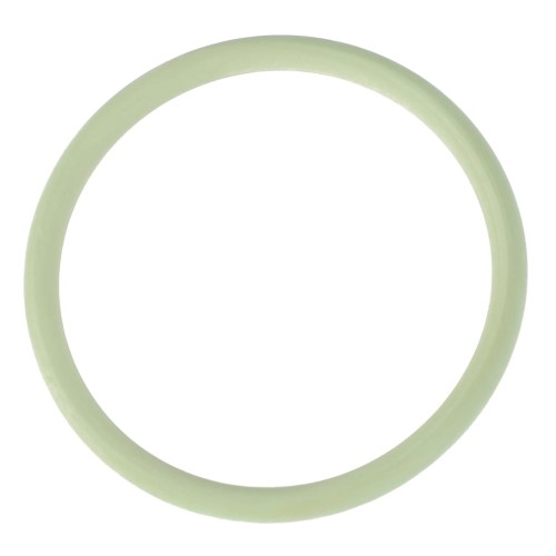X548923000000 Oring