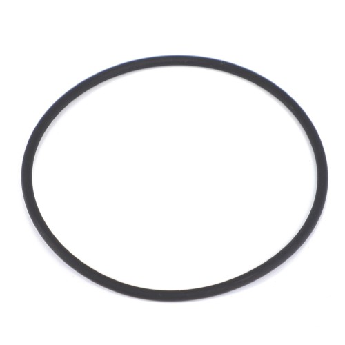 X548926666000 Oring