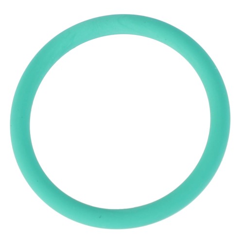 X548878200000 Oring