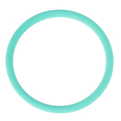 X548895001000 Oring