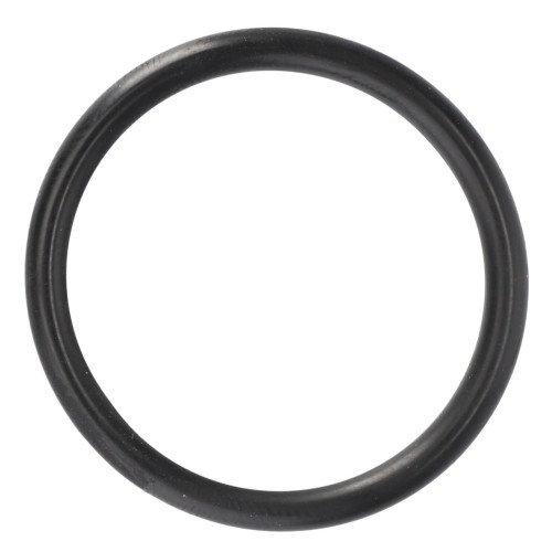 V614602930 Oring