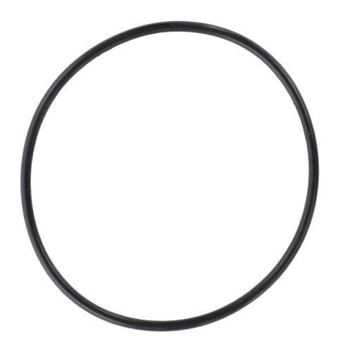 V614606825 Oring