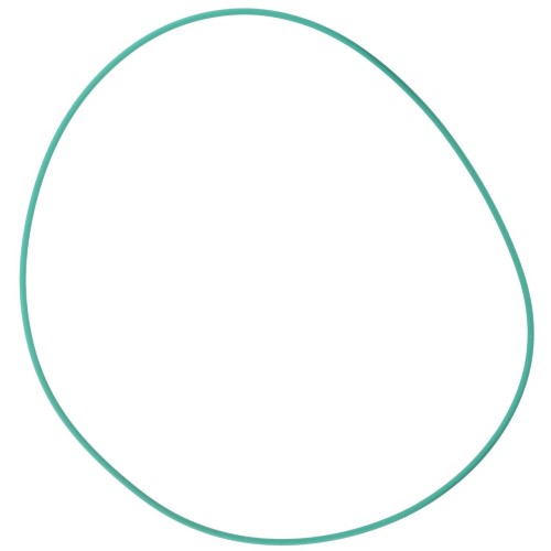842300020750 Oring