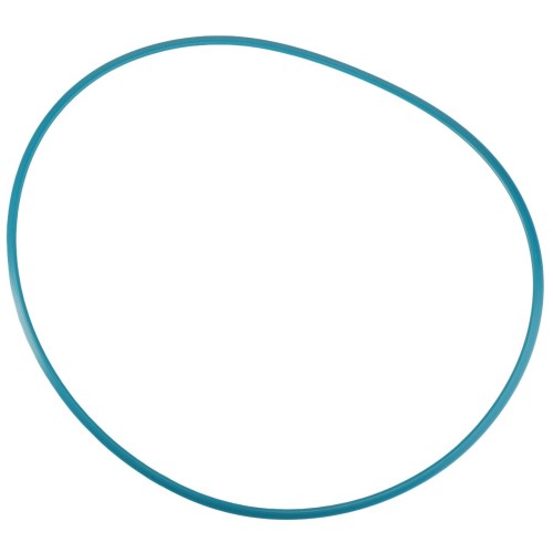 842300020760 Oring