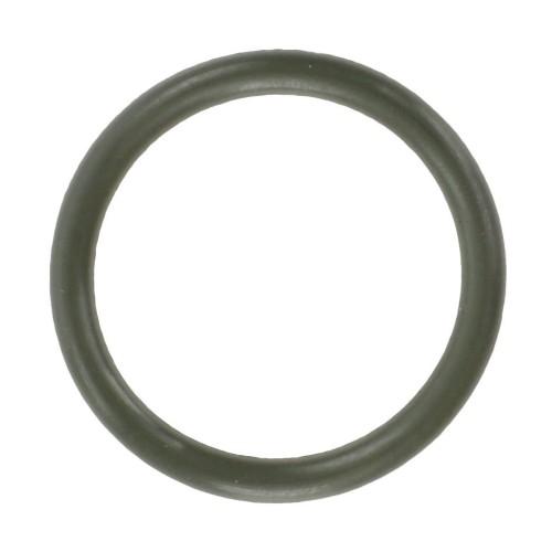 ACV0241670 Oring