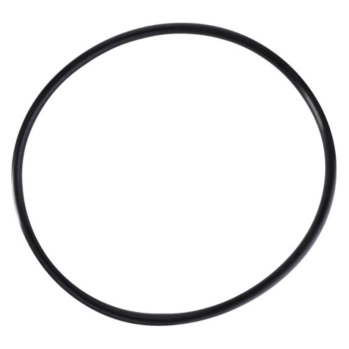 F260860060010 Oring
