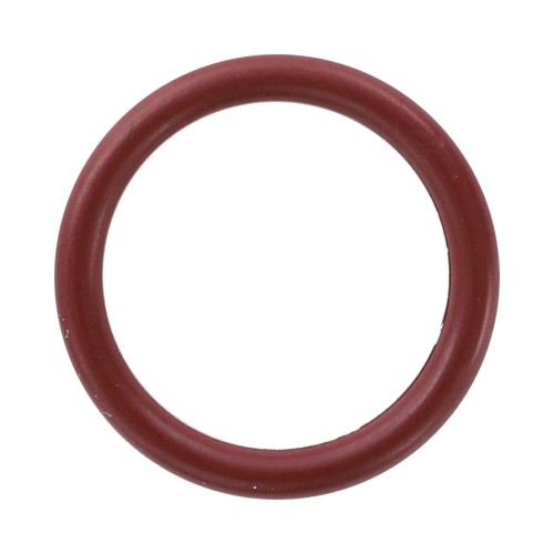 CH6V-8398 Oring