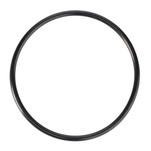 F822100070040 Oring