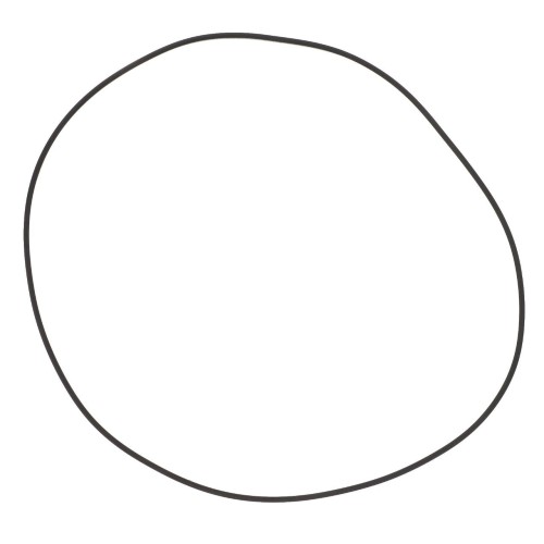 F743300020210 Oring