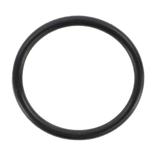 F725860060010 Oring