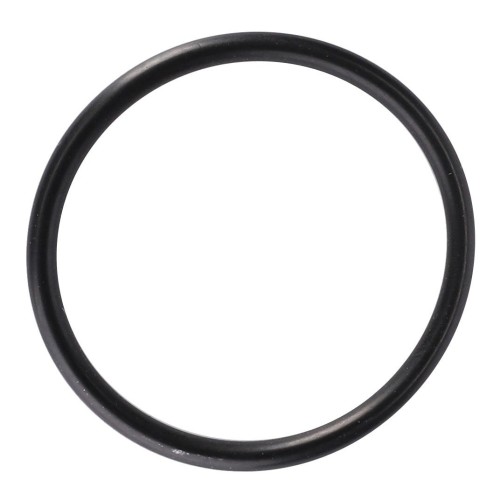 F954200090560 Oring
