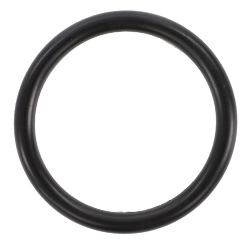 F954200510090 Oring