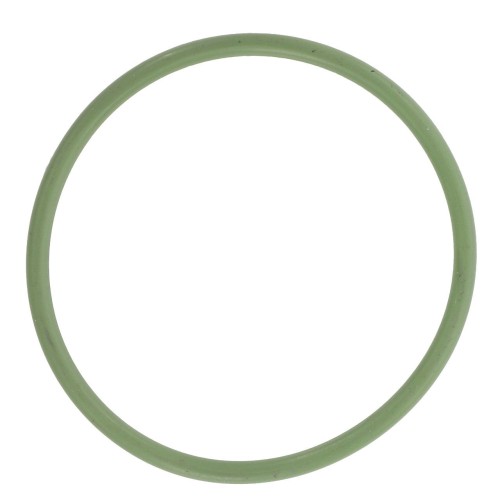 F916100490020 Oring