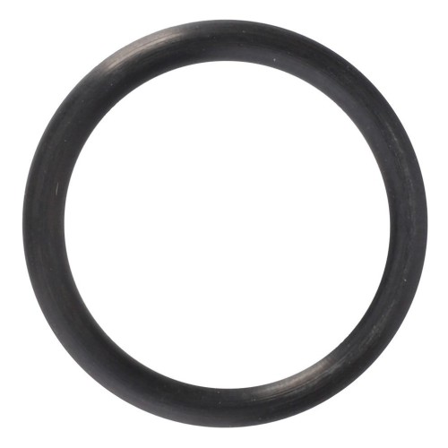 F339860060050 Oring