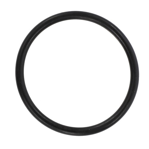 F339950010010 Oring