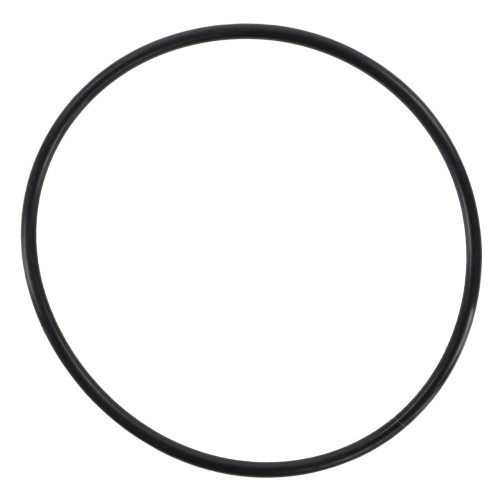 V31980500 O-ring