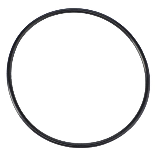 V31980400 O-ring