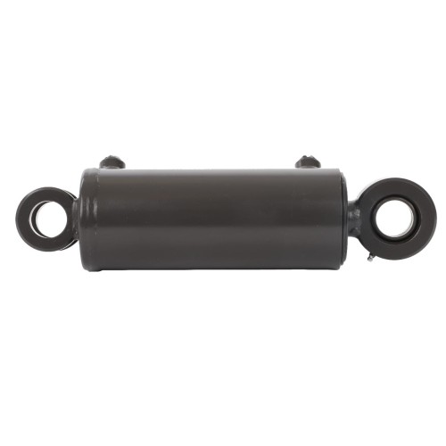 ACV0299490 Tylny siłownik 