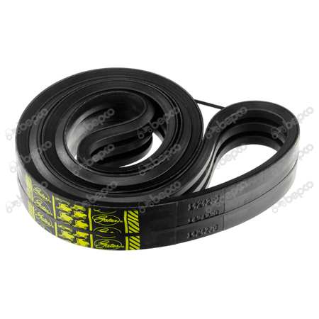 Pas klinowy napędu rotora Gates do Claas Dominator Lexion FH10164 47434574 0006295101 629510.1